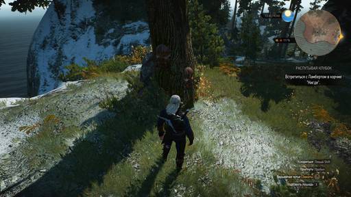 The Witcher 3: Wild Hunt - "Ведьмак 3": Прохождение. Скеллиге. Дополнительные миссии, не связанные с основным сюжетом. Часть 3